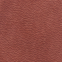 Brown Taupe Leather